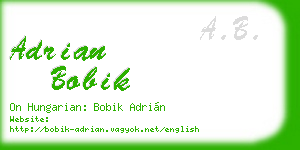 adrian bobik business card